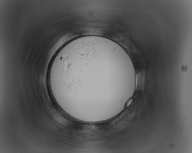 X0000101200195200807181543