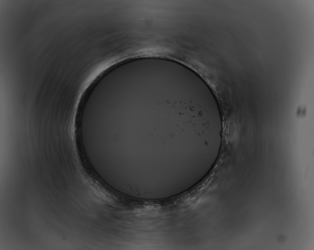 X0000101200196200807181543