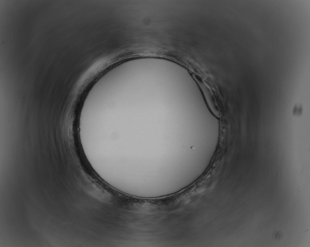 X0000101200197200807181543