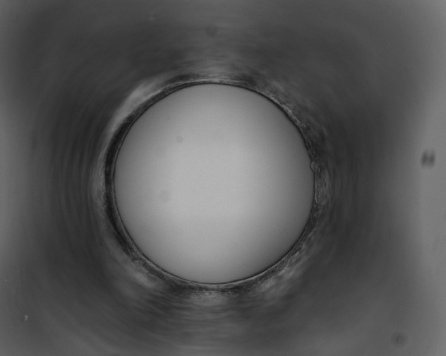 X0000101200198200807181543