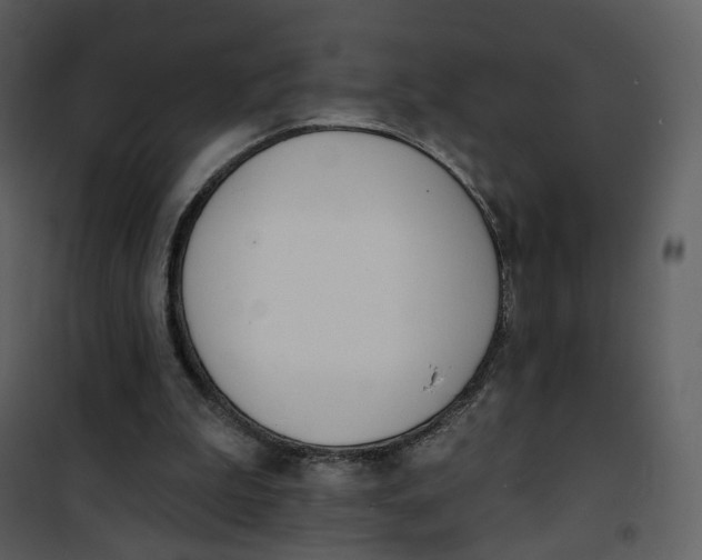 X0000101200199200807181543