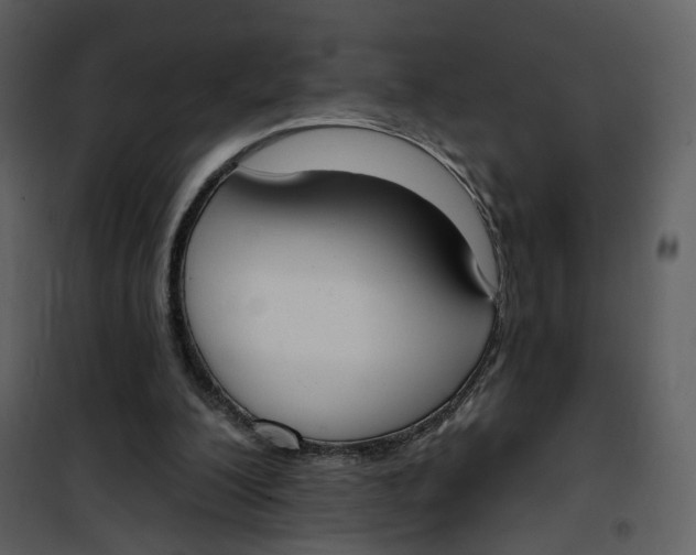 X0000101200200200807181543