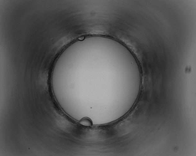 X0000101200201200807181543