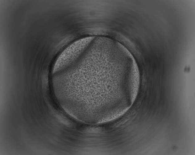 X0000101200202200807181543