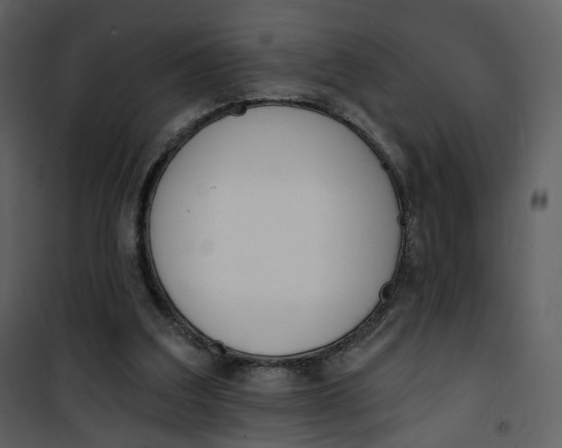 X0000101200203200807181543