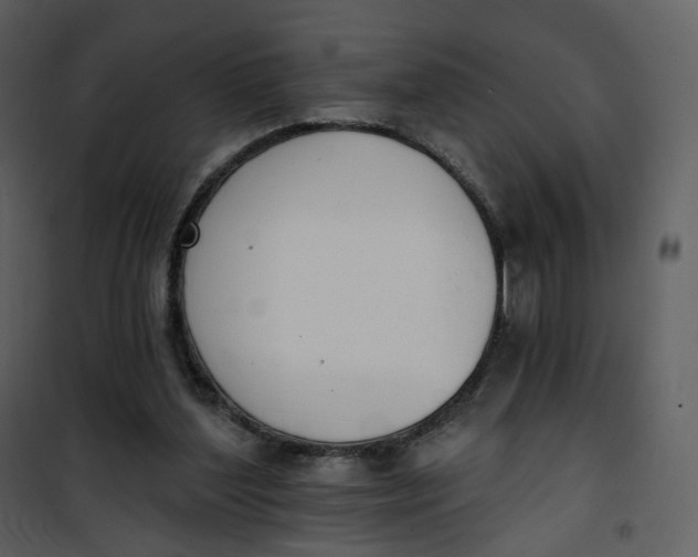 X0000101200204200807181543