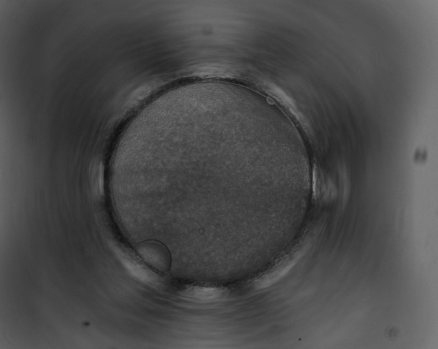 X0000101200205200807181543