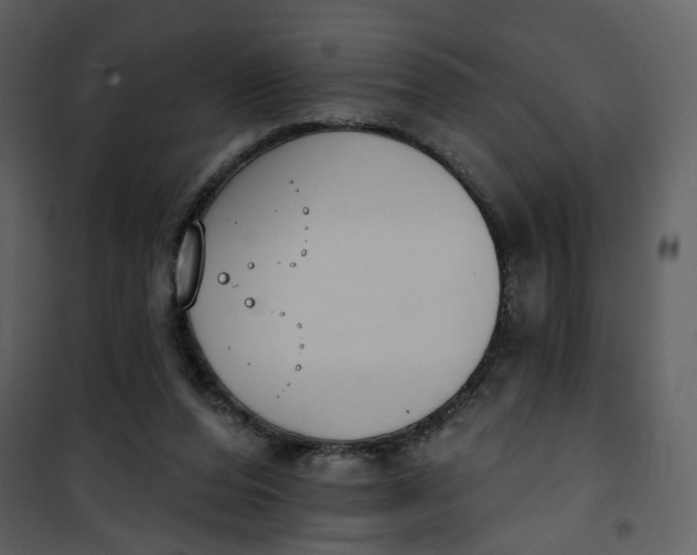 X0000101200208200807181543