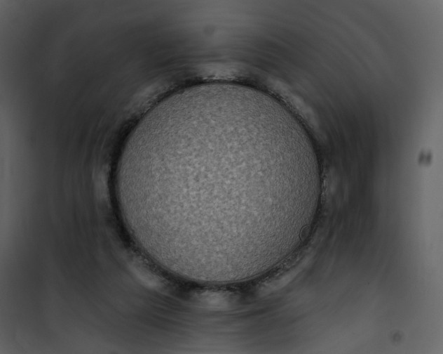 X0000101200209200807181543