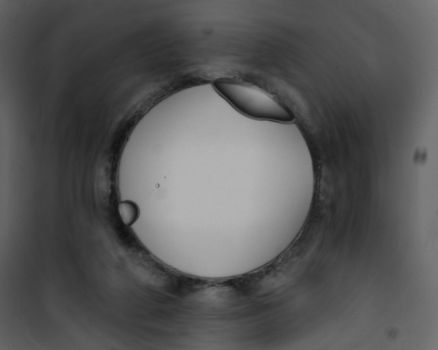 X0000101200210200807181543