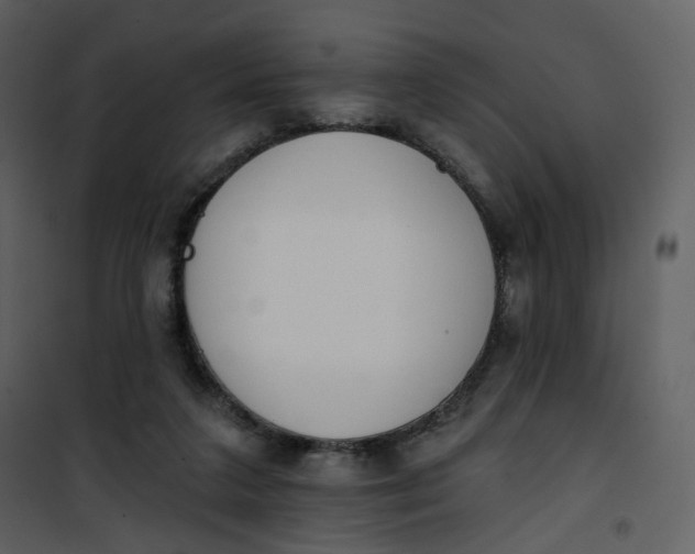 X0000101200211200807181543