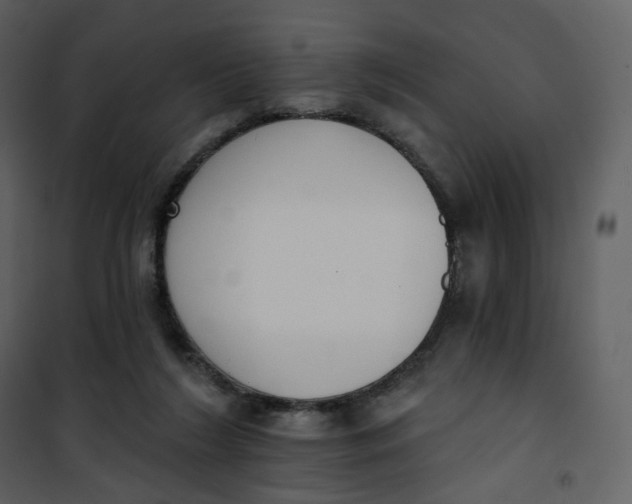 X0000101200212200807181543