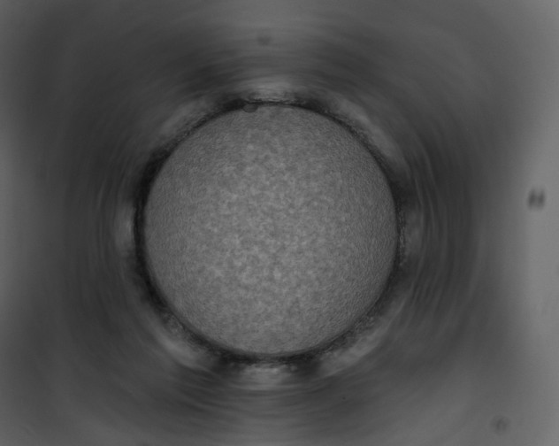 X0000101200213200807181543