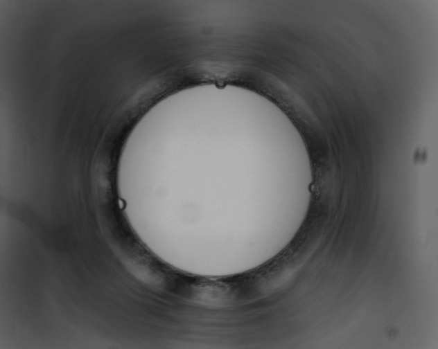 X0000101200215200807181543