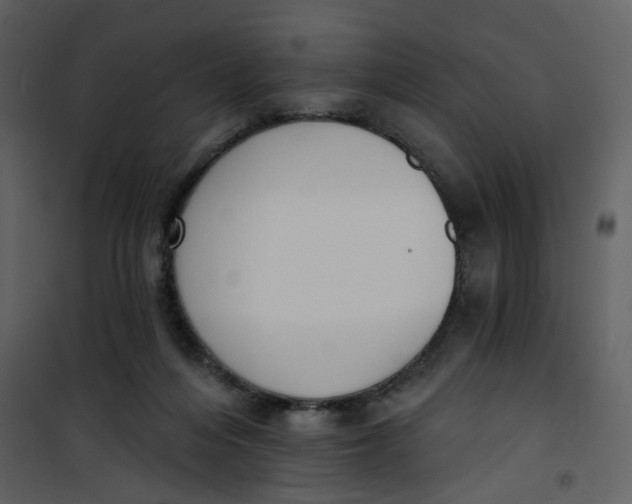 X0000101200216200807181543