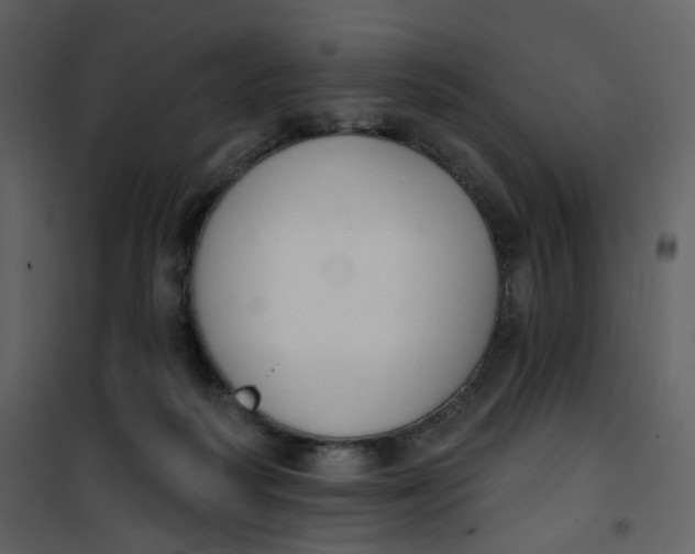 X0000101200218200807181543