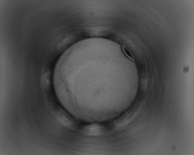 X0000101200219200807181543