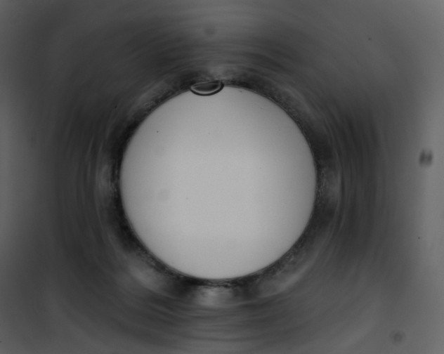 X0000101200220200807181543