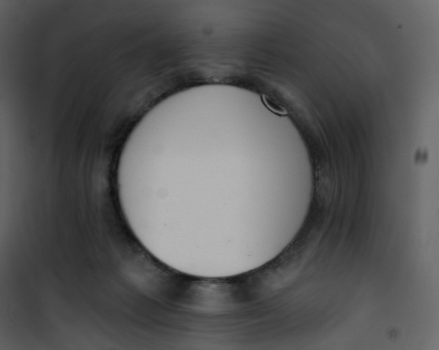 X0000101200221200807181543