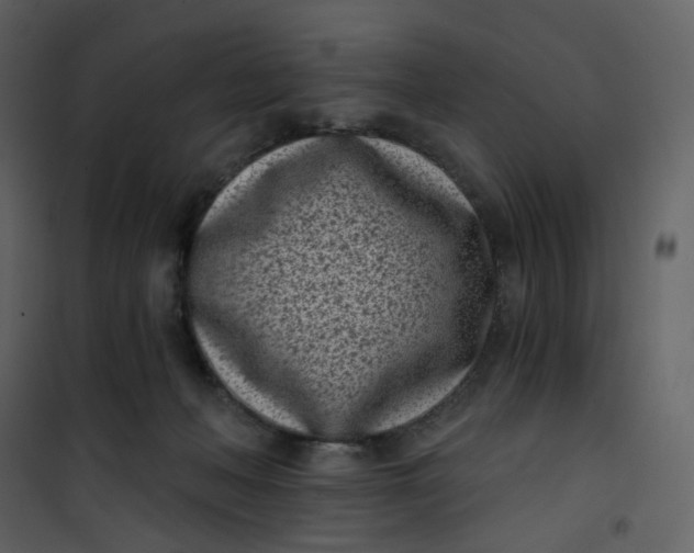 X0000101200222200807181543