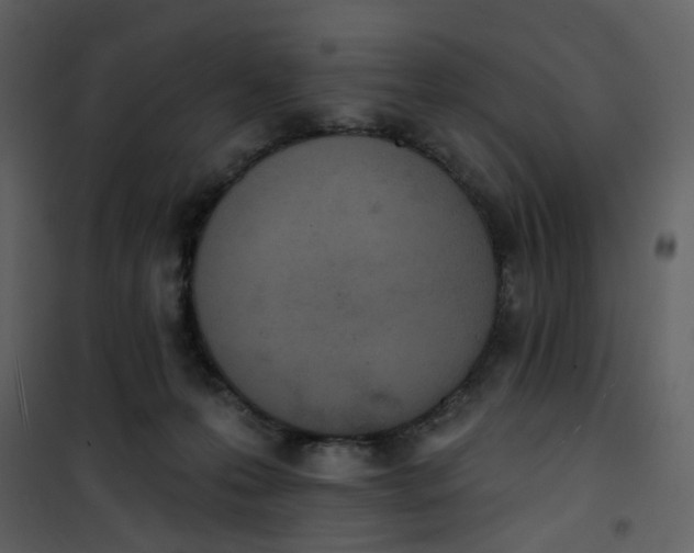 X0000101200223200807181543