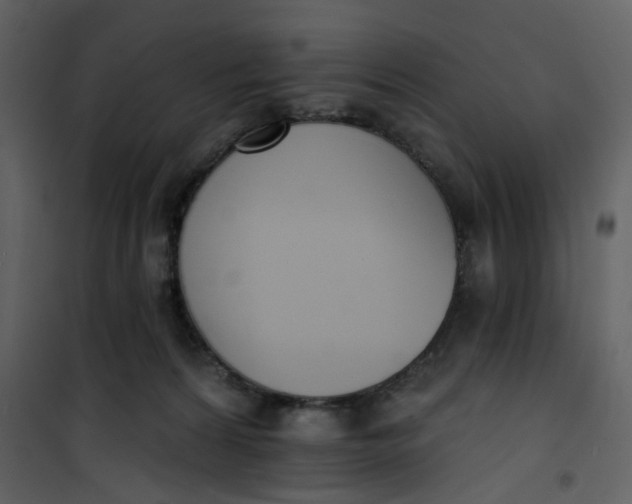 X0000101200224200807181543