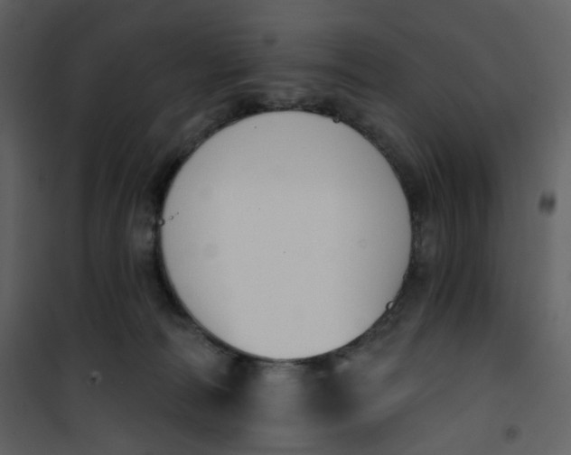 X0000101200226200807181543