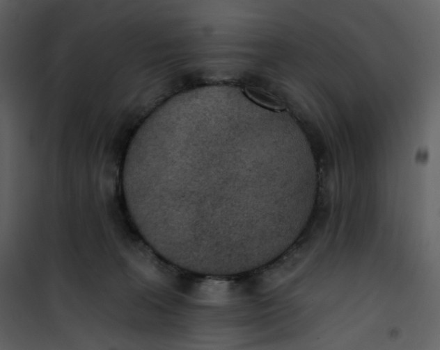 X0000101200227200807181543