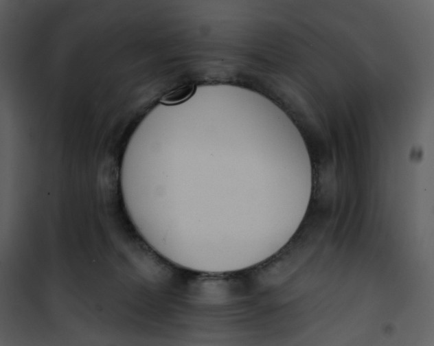 X0000101200228200807181543