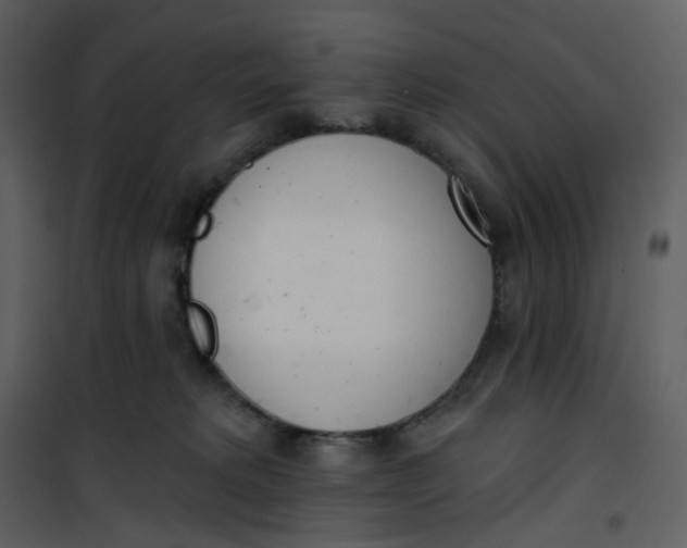 X0000101200229200807181543