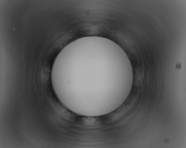 X0000101200230200807181543