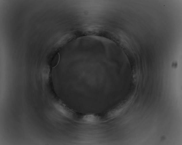 X0000101200231200807181543