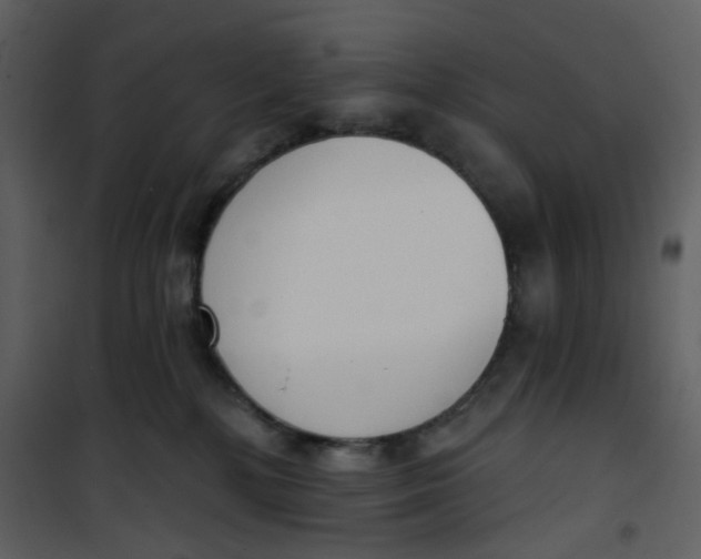 X0000101200232200807181542