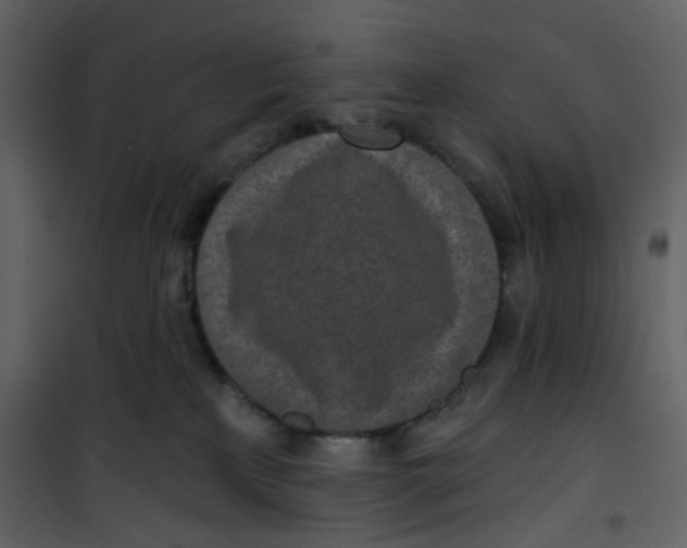 X0000101200233200807181542