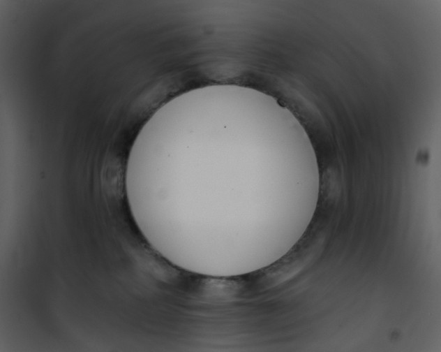 X0000101200234200807181542