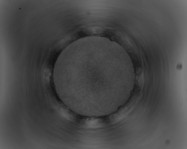 X0000101200235200807181542