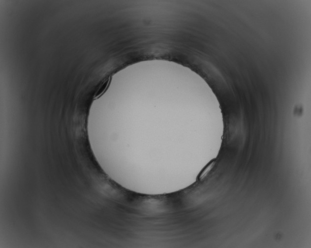 X0000101200236200807181542