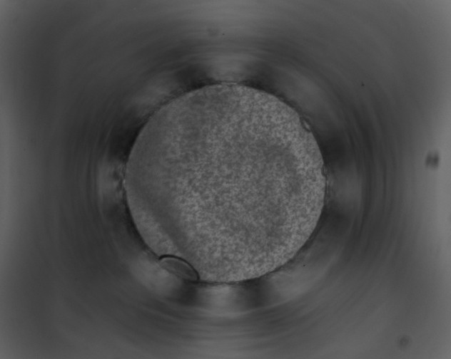 X0000101200237200807181542