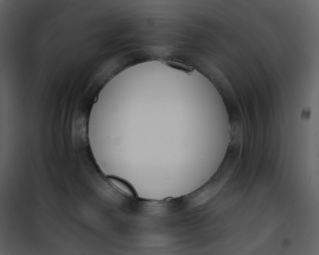 X0000101200238200807181542