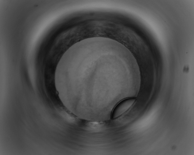 X0000101200239200807181542