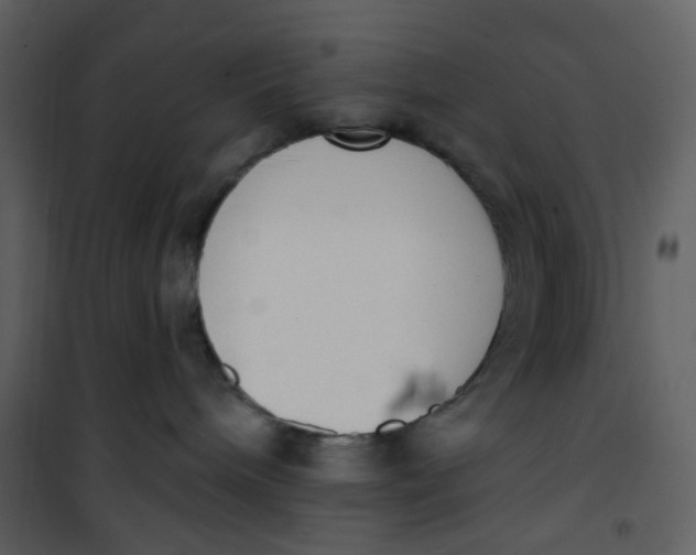 X0000101200240200807181542