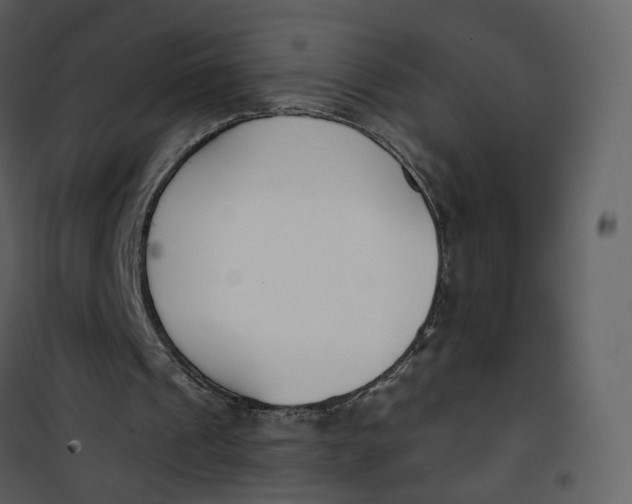 X0000101200241200807181542