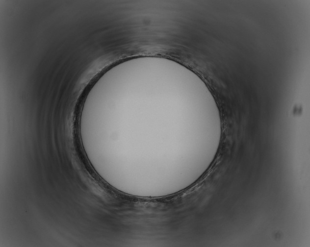 X0000101200242200807181542