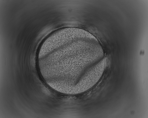 X0000101200243200807181542