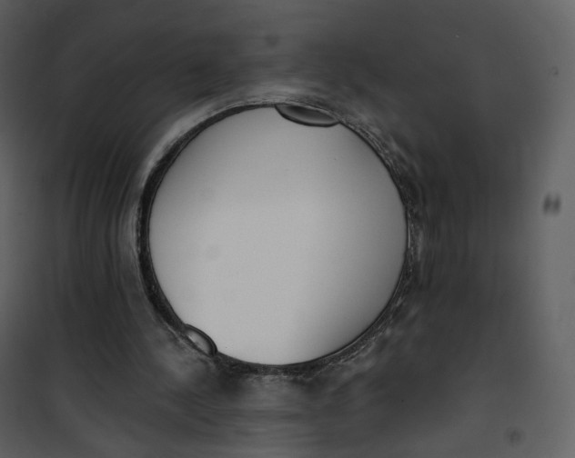 X0000101200244200807181542