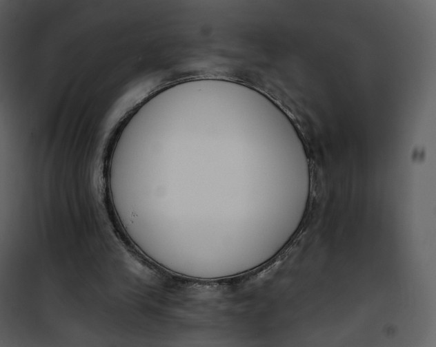 X0000101200245200807181542