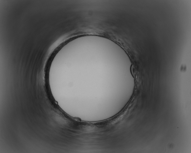 X0000101200246200807181542