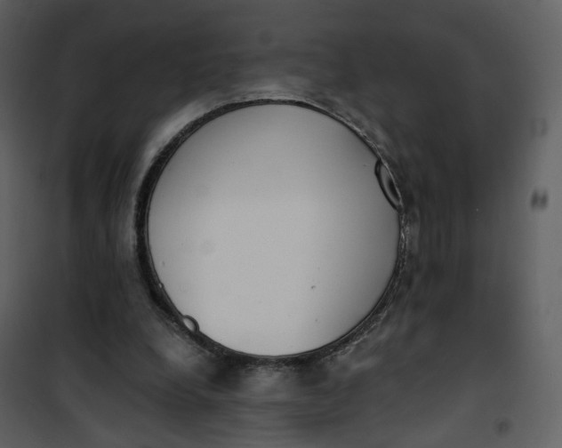 X0000101200248200807181542