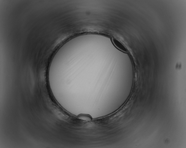 X0000101200249200807181542