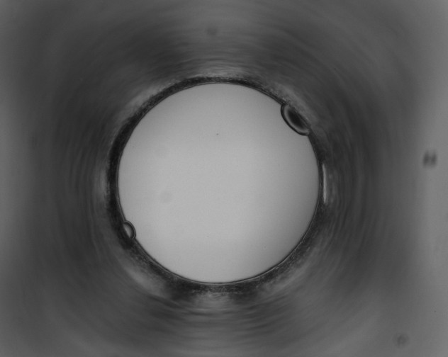 X0000101200252200807181542